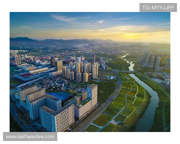 凯发直播中文站的未来发展趋势与创新功能，平台升级带来的新体验