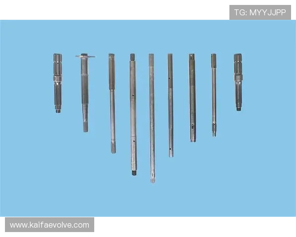 凯发k8官网下载客户端官方渠道推荐，避免下载假冒软件保障账号安全